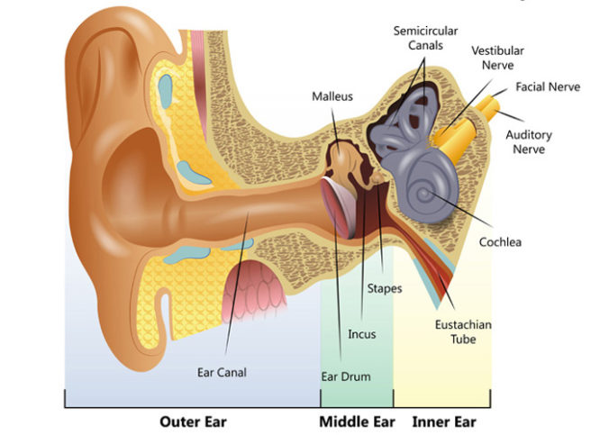 Tipos De Enfermedades Del Oído Blog De Kiversal