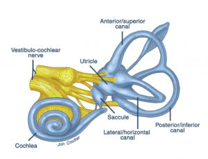 Labyrinthitis: causes and symptoms - Blog of Kiversal