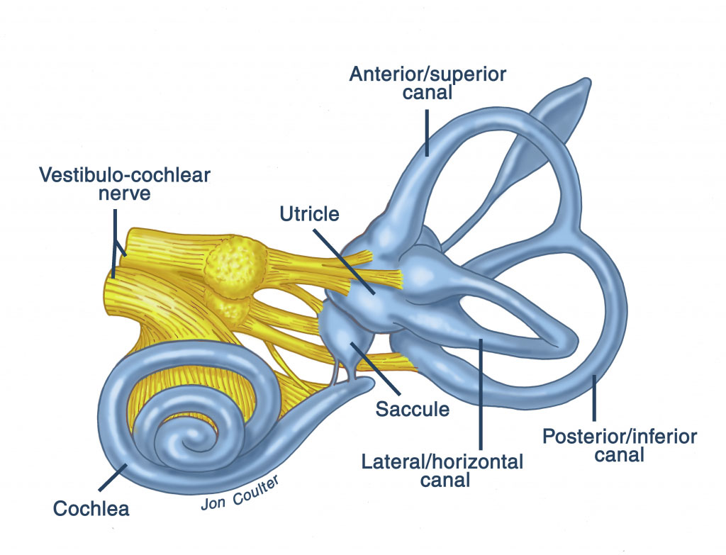 virus of labyrinthitis